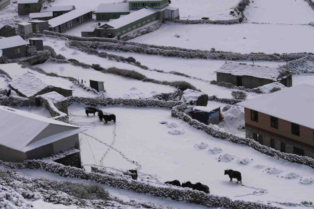 에베레스트 베이스 캠프 