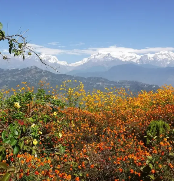 Annapurna Base Camp