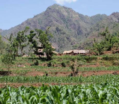 체팡 힐 홈스테이 트레킹