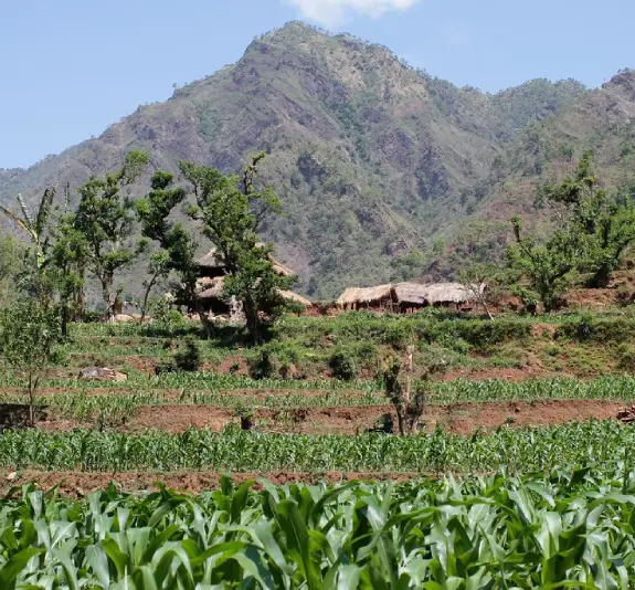 체팡 힐 홈스테이 트레킹