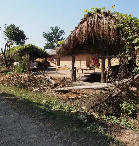Bardiya National Park