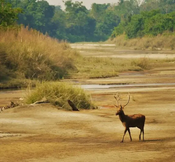 Bardiya National Park Tour
