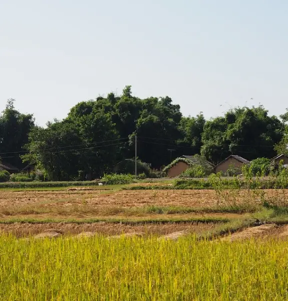 Bardiya National Park Tour