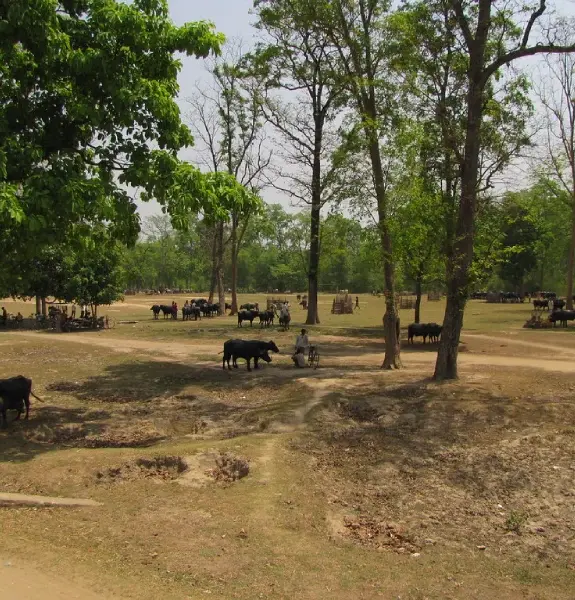 Bardiya National Park Tour
