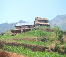 Chepang Hill Homestay Trek