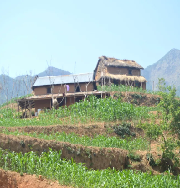 Chepang Hill Homestay Trek