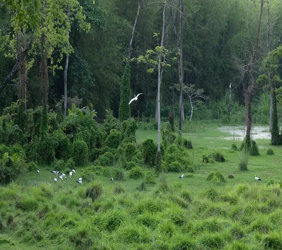 Chitwan via Chepang