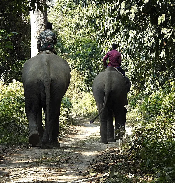 Chitwan