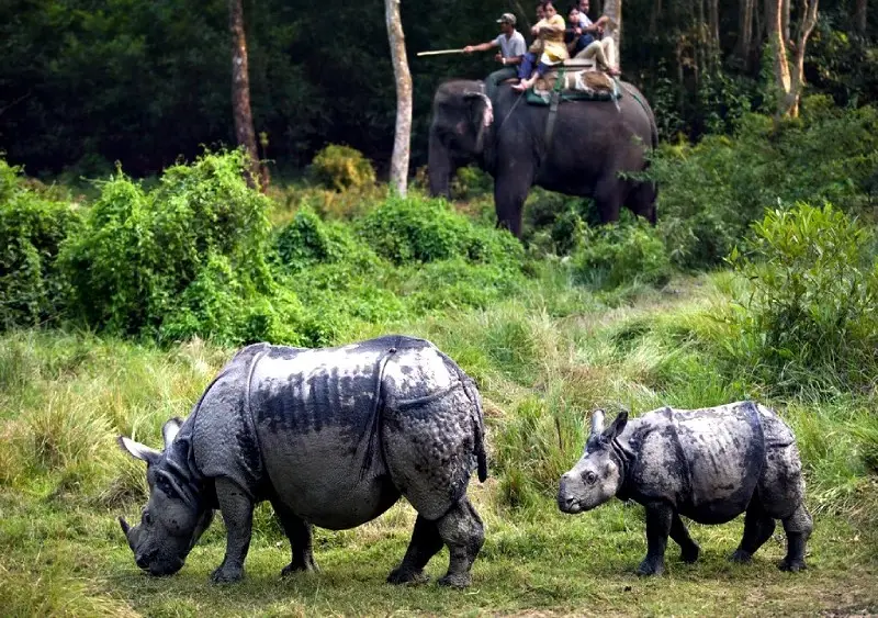 Chitwan