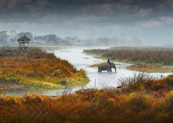 Tour di Chitwan