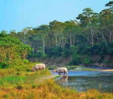 Chitwan