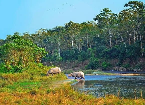 Chitwan