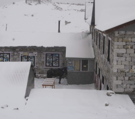 Mount Everest Base Camp