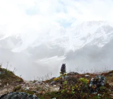 Manaslu circuit trek