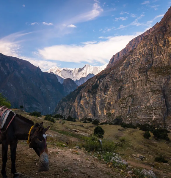 Nar Phu Valley Trek