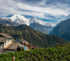 시클레스 트레킹