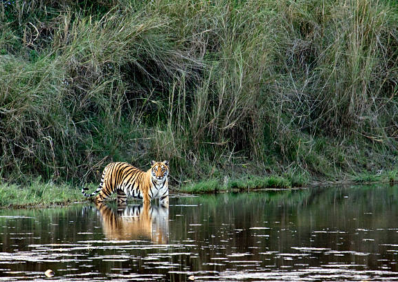 바르디야 국립공원 투어
