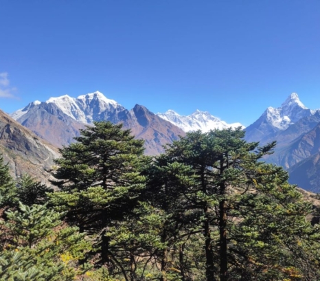 고쿄 호수 트레킹