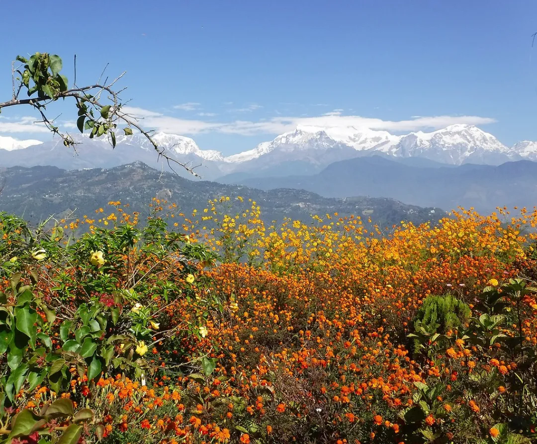 Annapurna Region