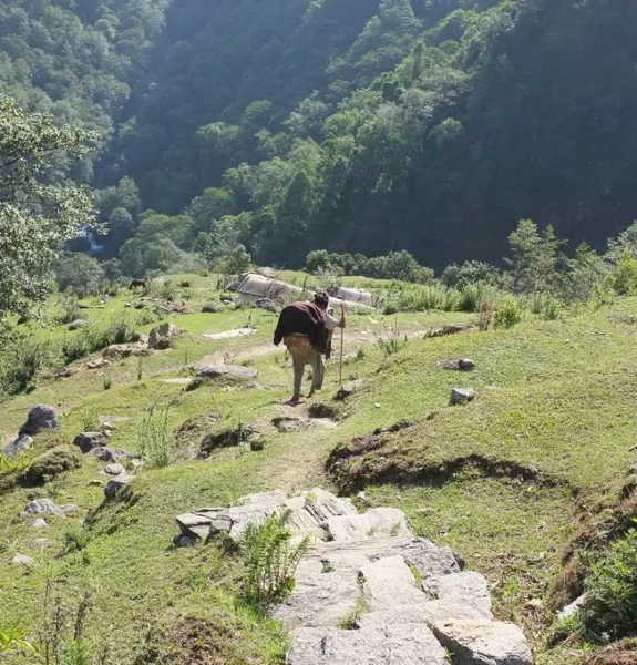 Kori Trek
