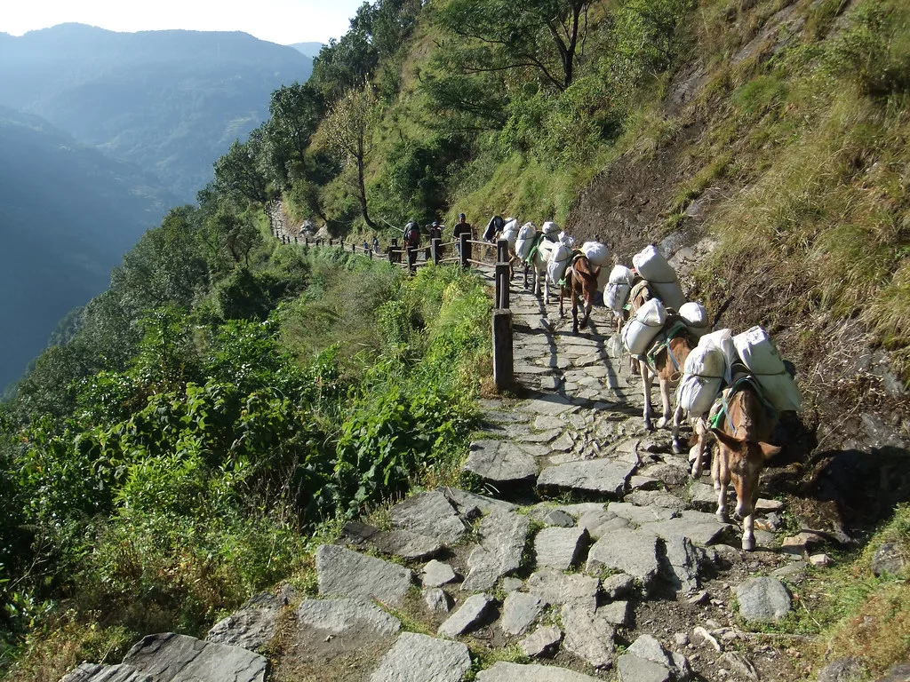 Trek in Nepal without a guide