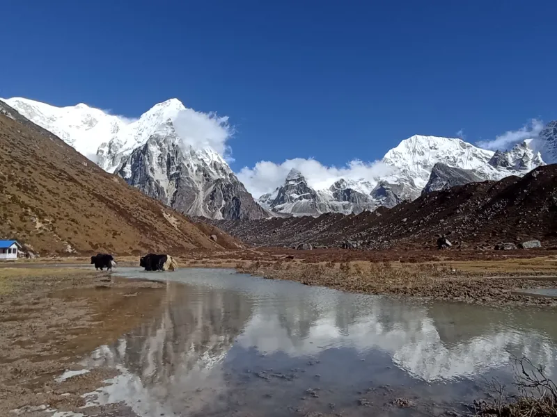 Kanchenjunga Trek
