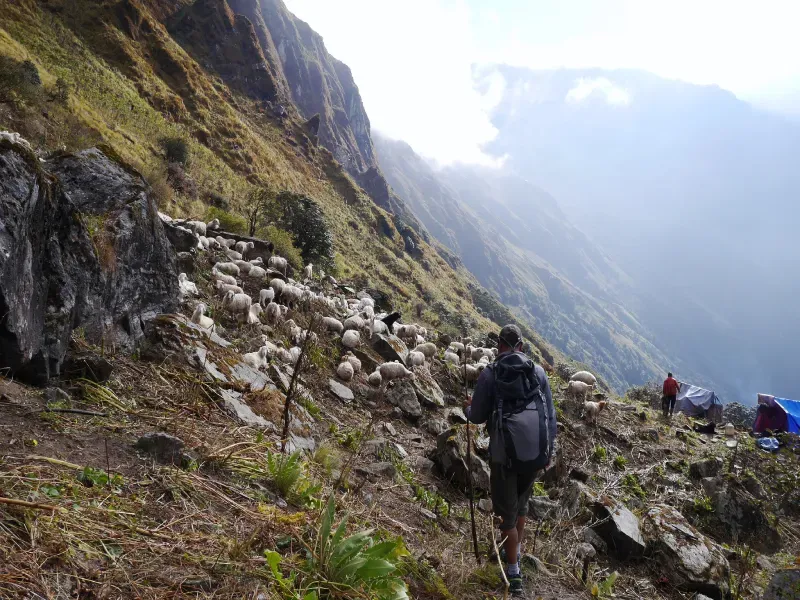 khopra danda trek