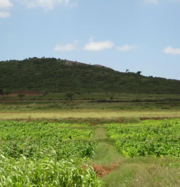 Bandipur