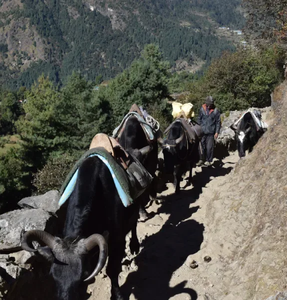 Von Jiri zum Basislager am Mount Everest