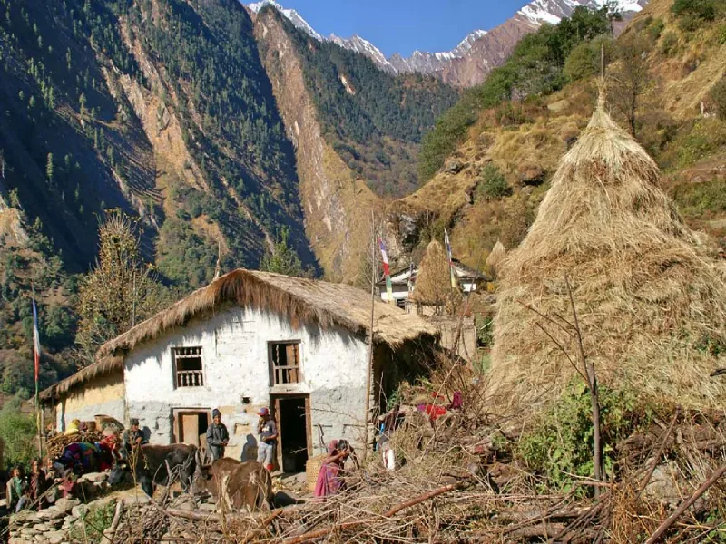 아피 베이스 캠프 트레킹