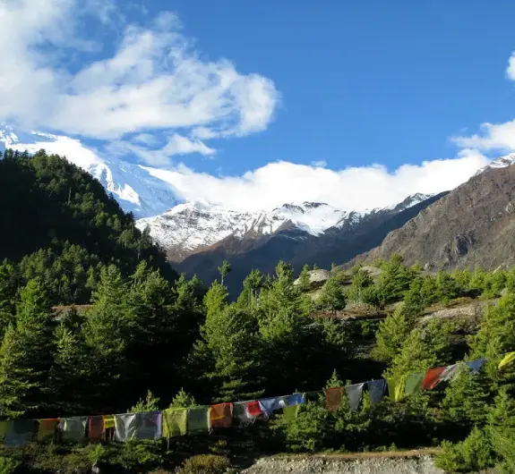 Annapurna panorama trek