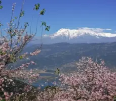 Annapurna panorama trek