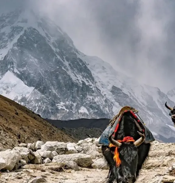 Pikey Peak to Everest Base Camp Trek