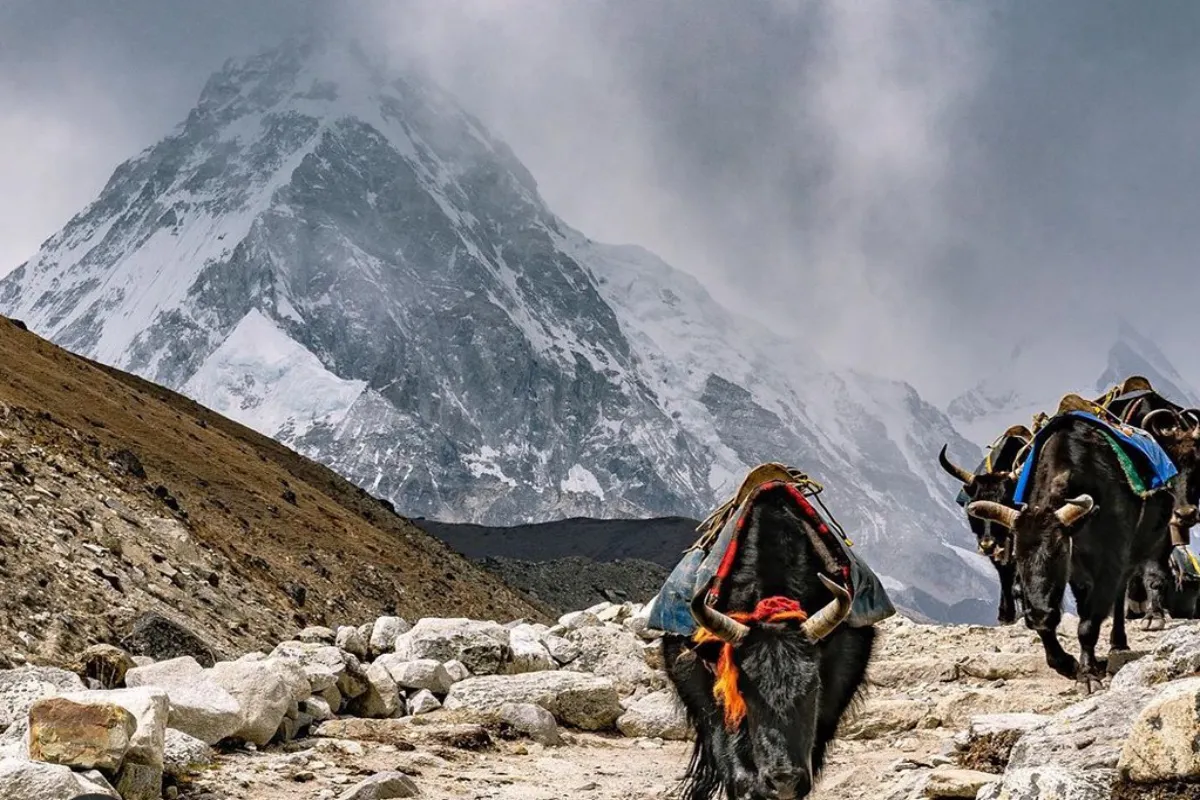 Pikey Peak to Everest Base Camp Trek