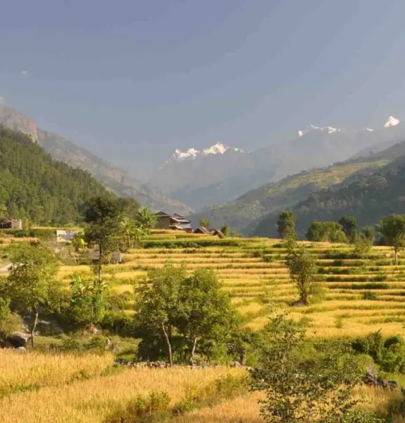 Short Manaslu Base Camp Trek
