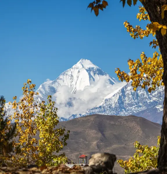 Everest Base Camp Trek by Road