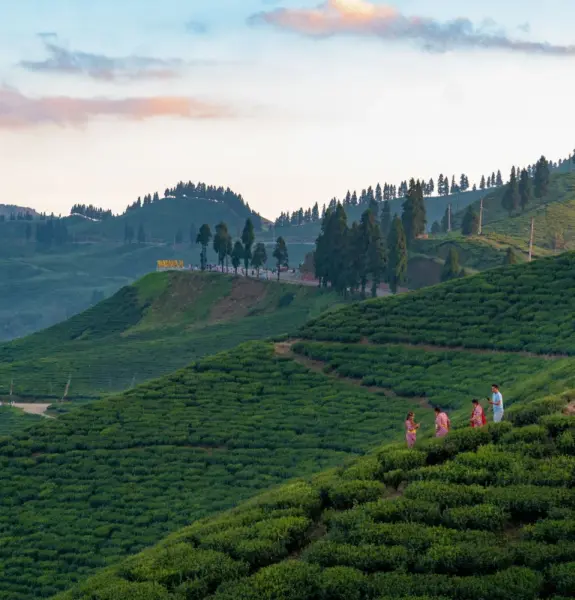ilam Tour