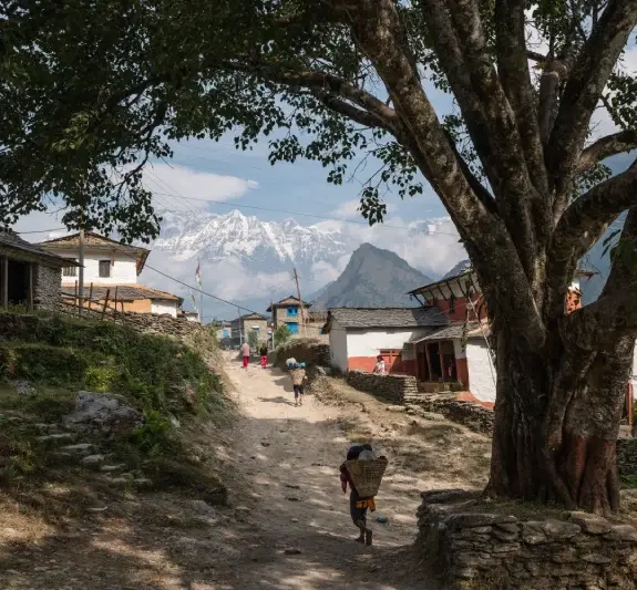 Dhaulagiri Cricuit Trek Itinerary