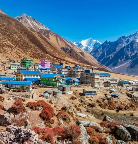 Langtang Helicopter Tour