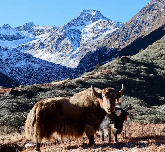 Lumba Sumba Pass Trek Itinerary