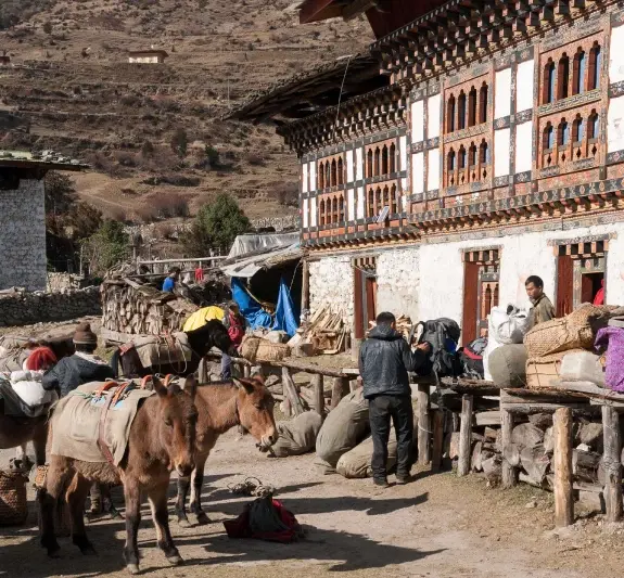 Laya Gasa Trek in Bhutan