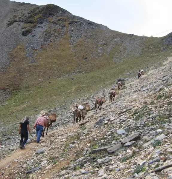 Jumolhari Trek itinerary