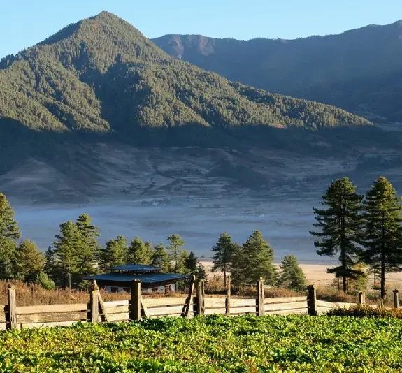 Bhutan sightseeing tour
