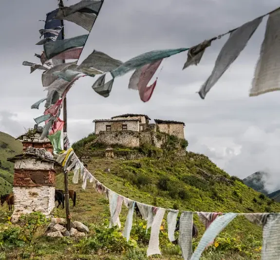 Laya Gasa Trek