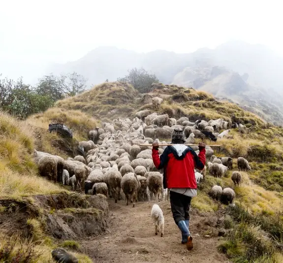 Mardi Himal Base Camp