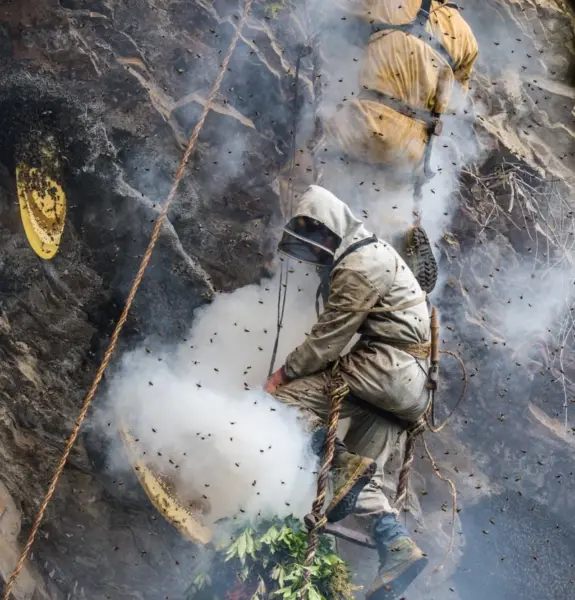 Mad Honey Hunting Trek
