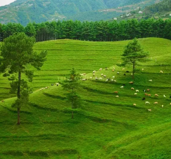 Chitlang Tour from Kathmandu